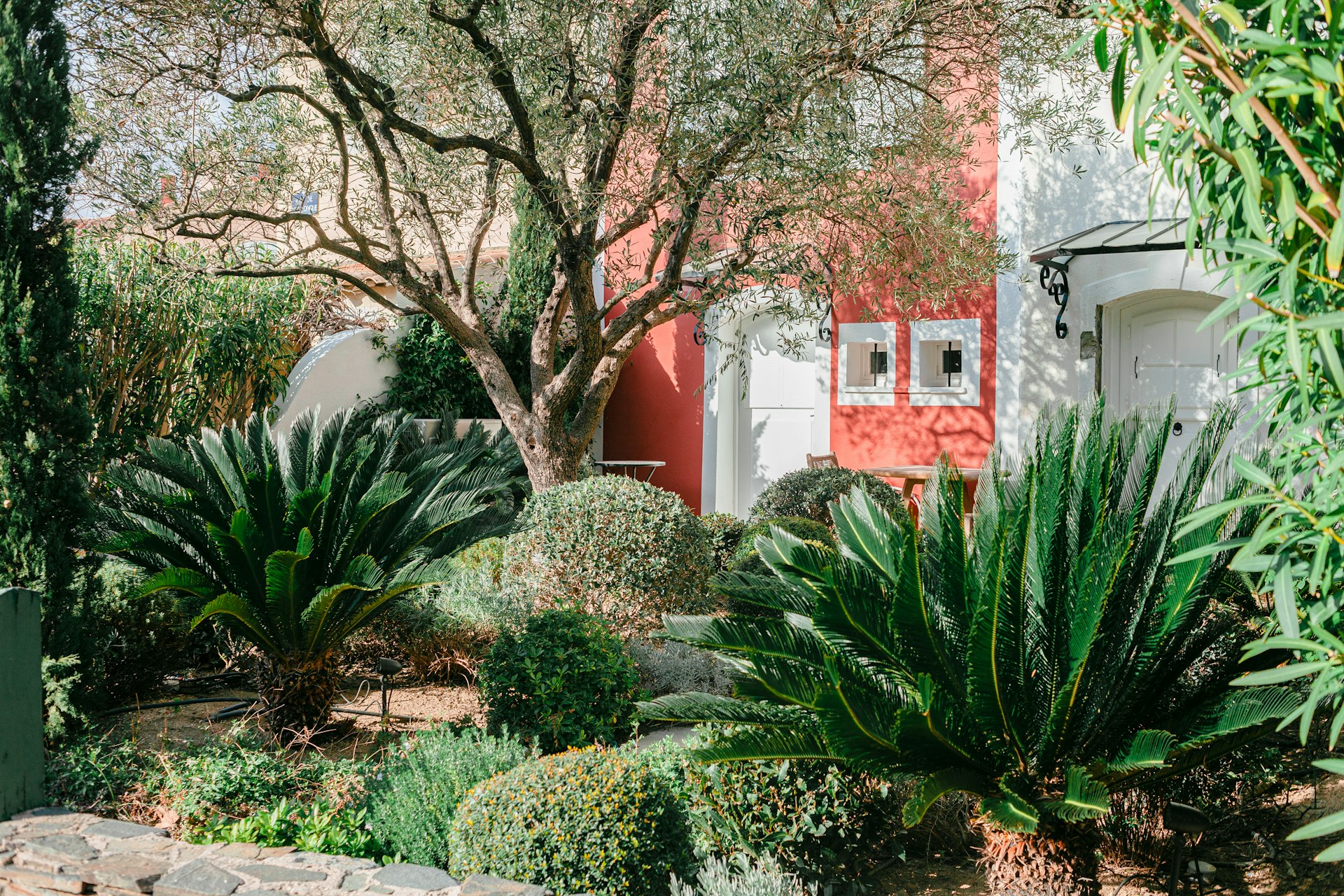 green plants near white and red concrete building